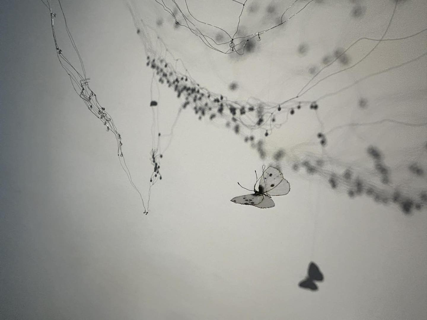 669021950_1399361478903006_3586662815579336575_n