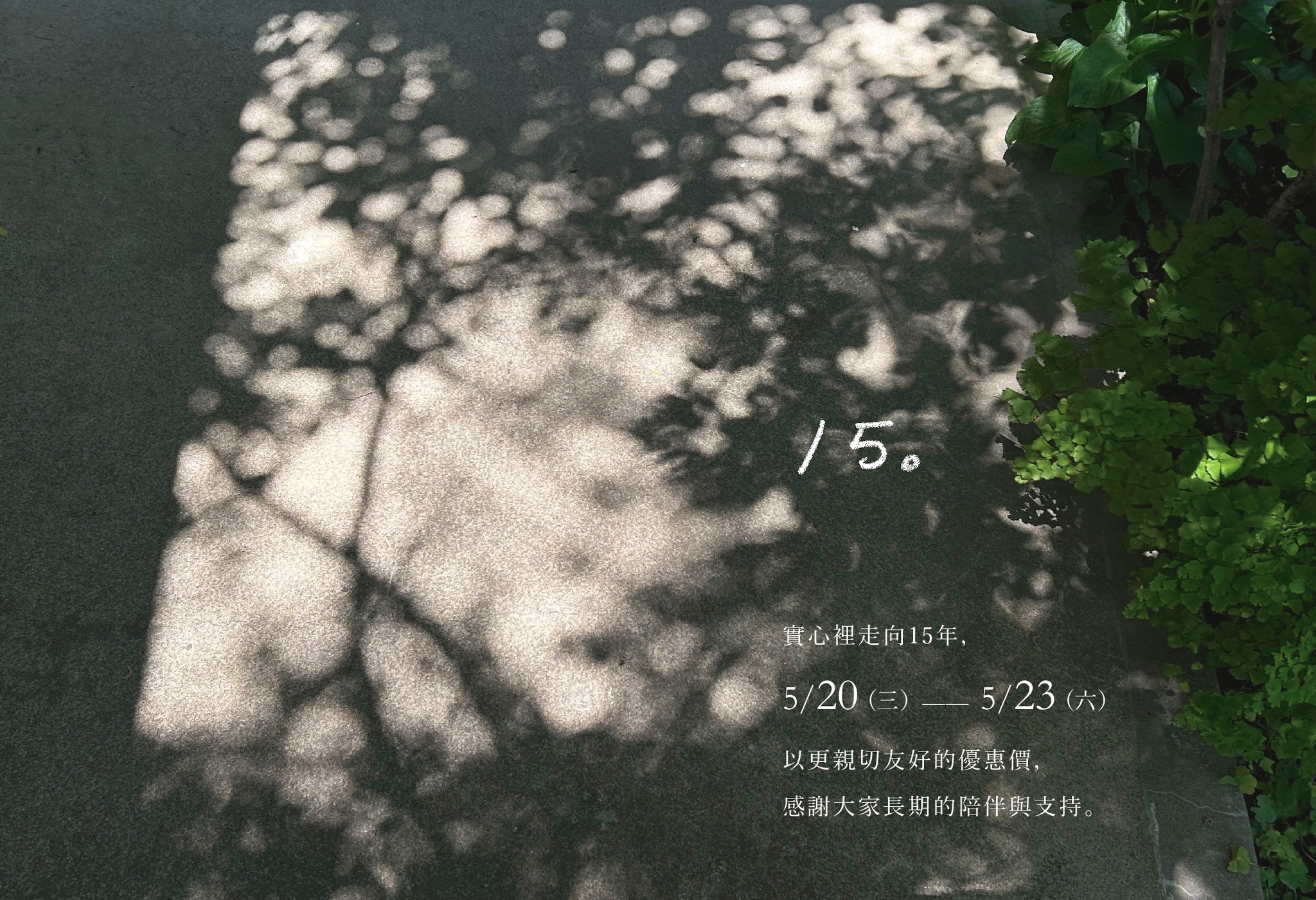 走向15年