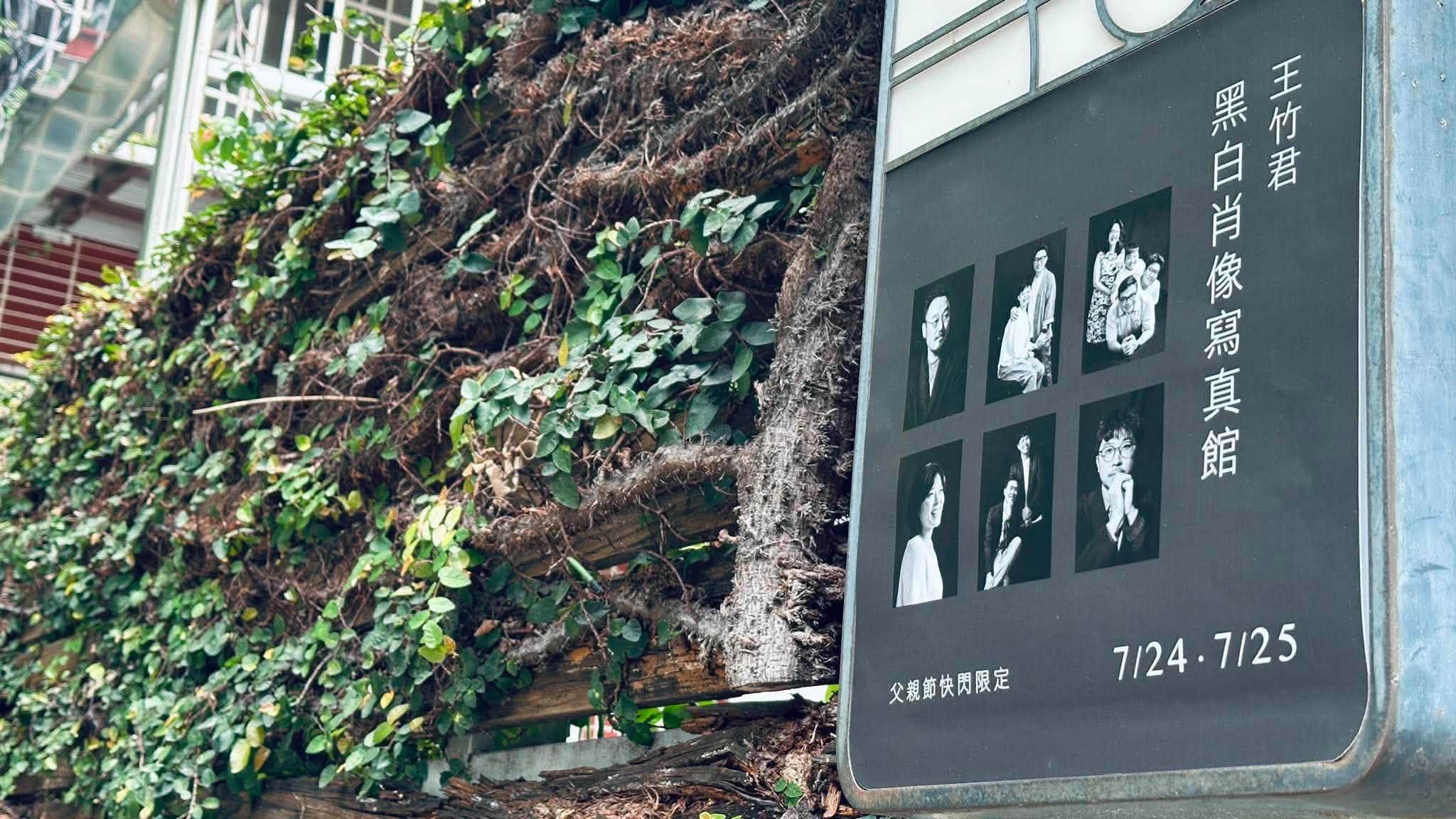 王竹君的黑白肖像照相館