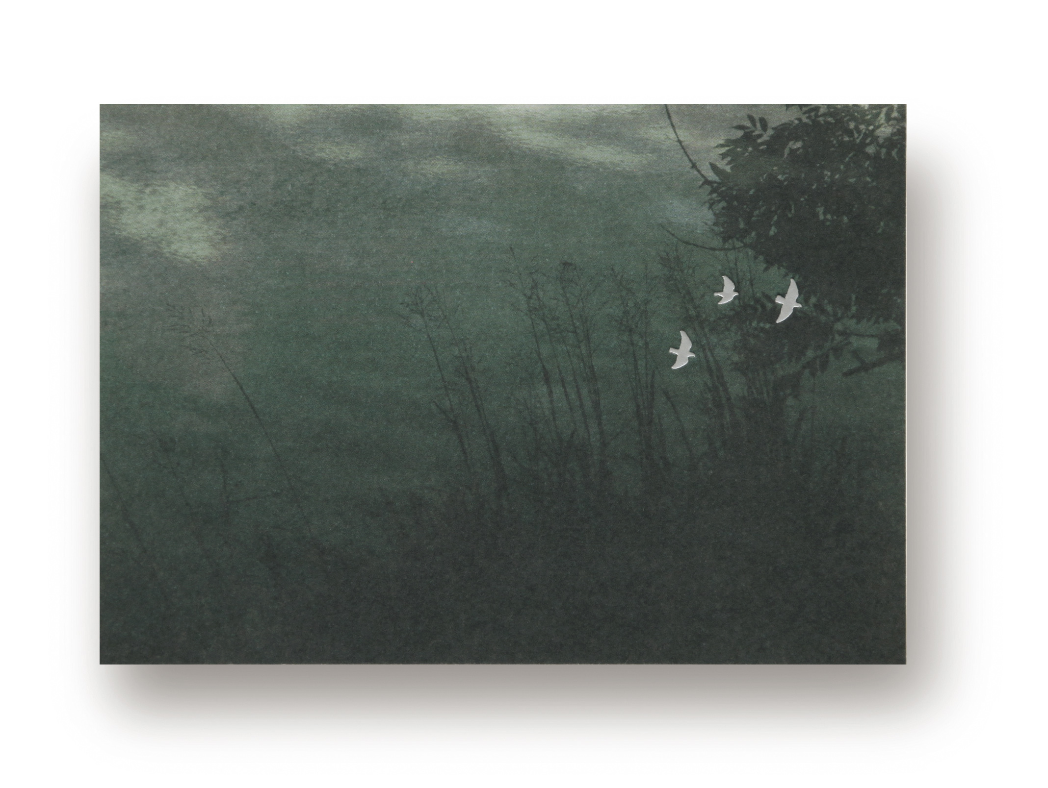 2015現在明信片-2號 浮光.jpg