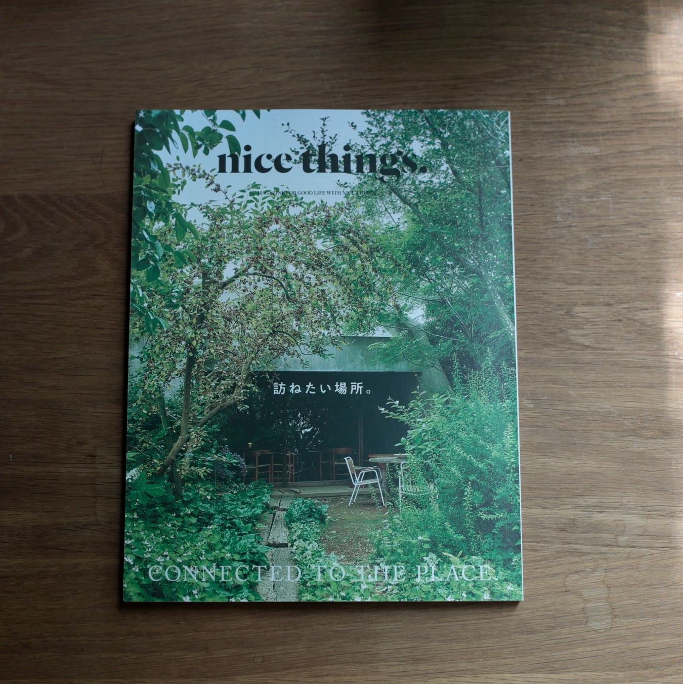 nice things.issue77