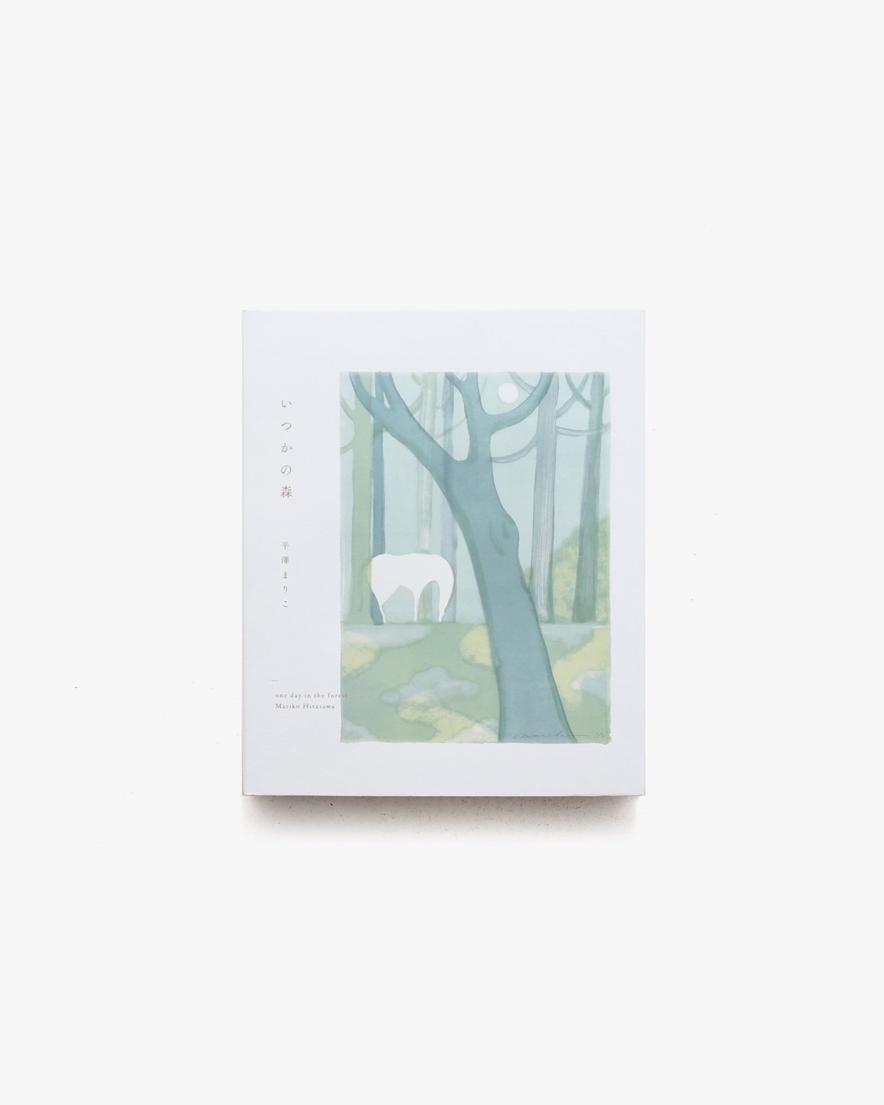 平澤摩里子-森林裡的某一天-2