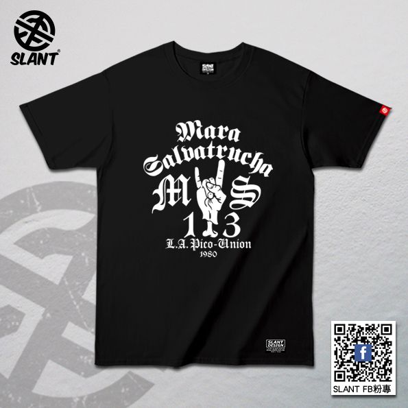 STB087-TS 拷貝