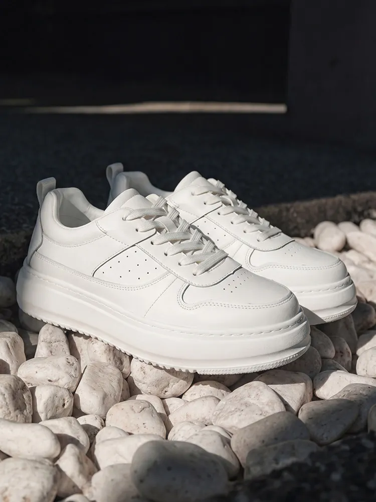 官官hf_20260213_015137_01cf7705-67c6-4554-8ad3-755ce58e5299