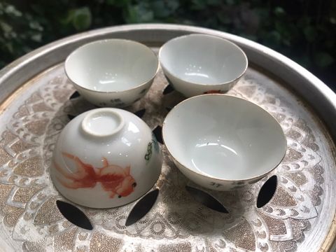 魚.jpg
