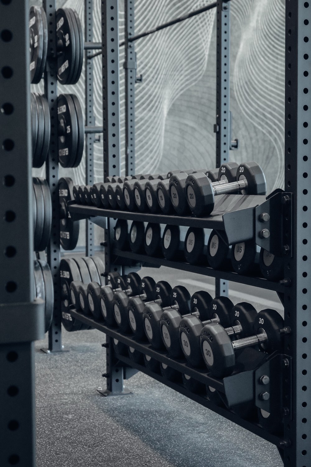 Eleiko plates and dumbbells on a storage rack
