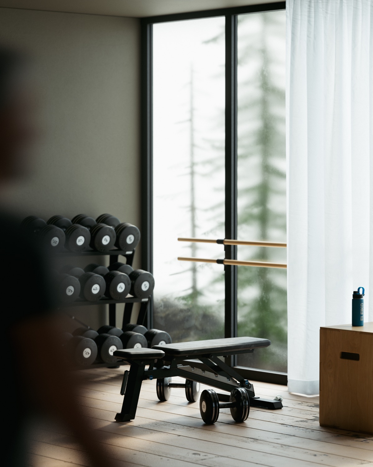 Dumbbells on a rack and a bench by a tall window