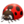 🐞