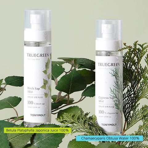 TONYMOLY Truegreen Mist 160ml_1_shop2_174355.jpg