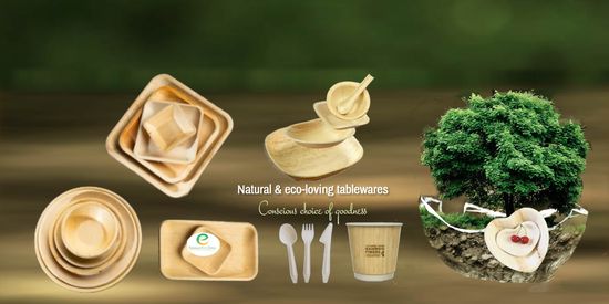  | Easanya Eco Green Pte Ltd