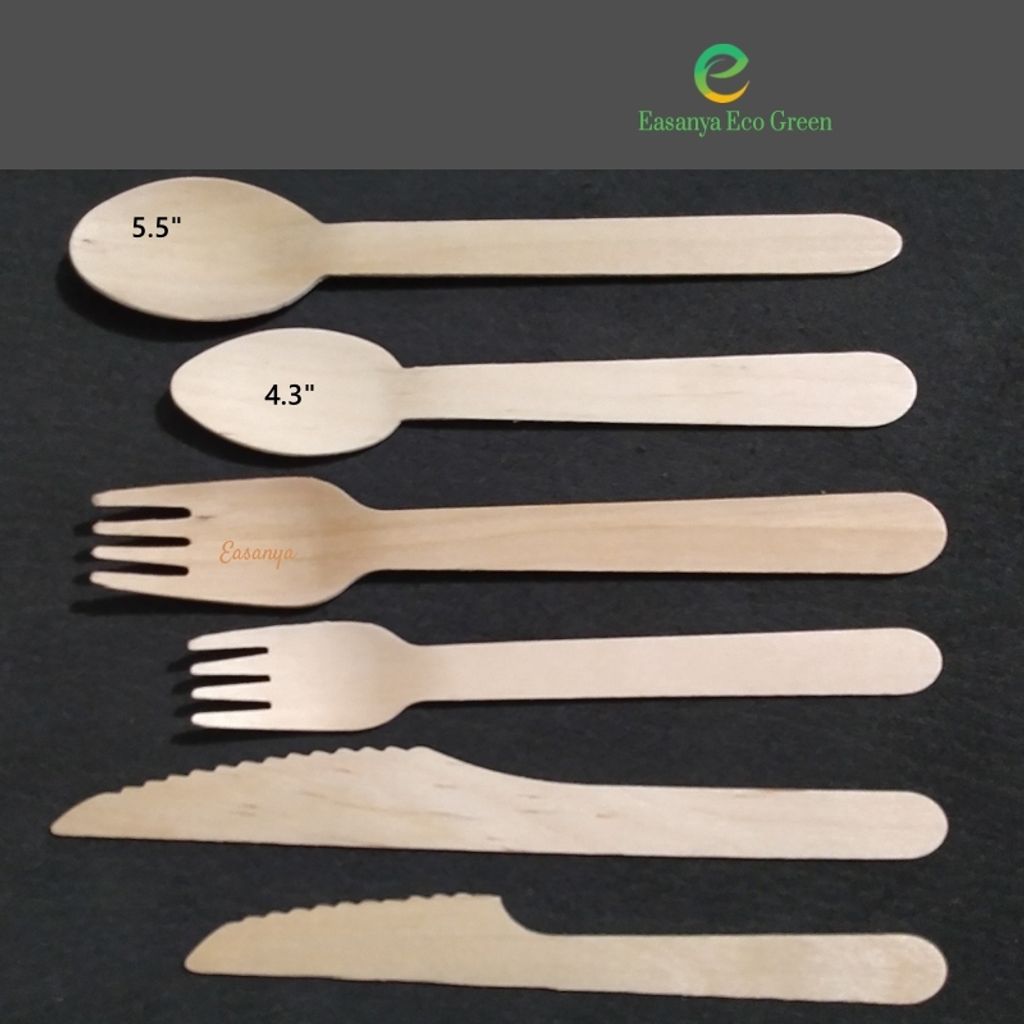 EEG5.5_SpoonFork