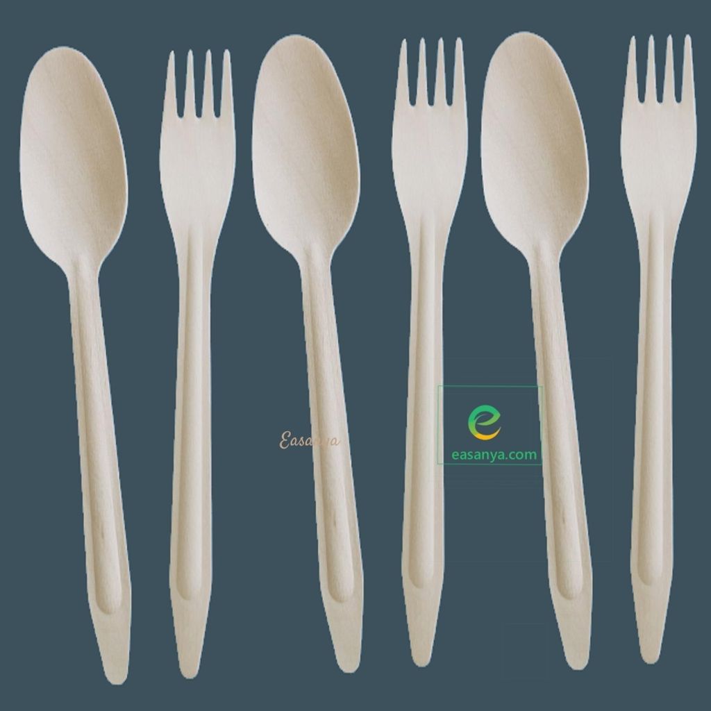 EEG6.5_Spoonfork