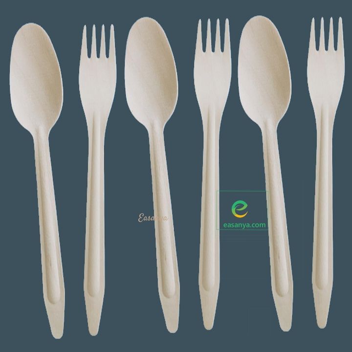 EEG6.5_Spoonfork