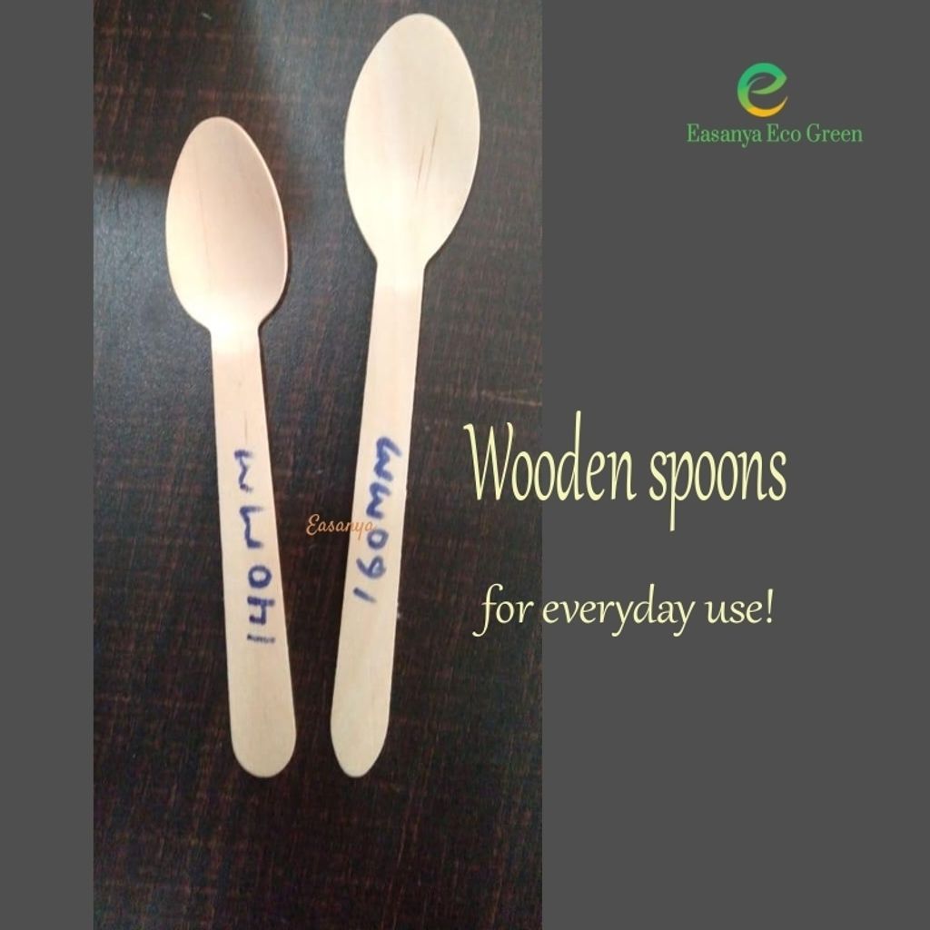 EEG5.5_Spoon