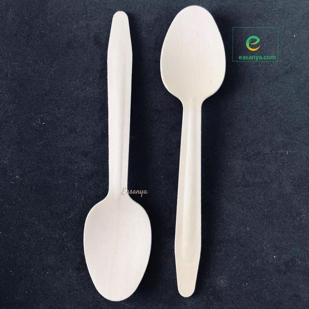 EEG6.5_Spoon