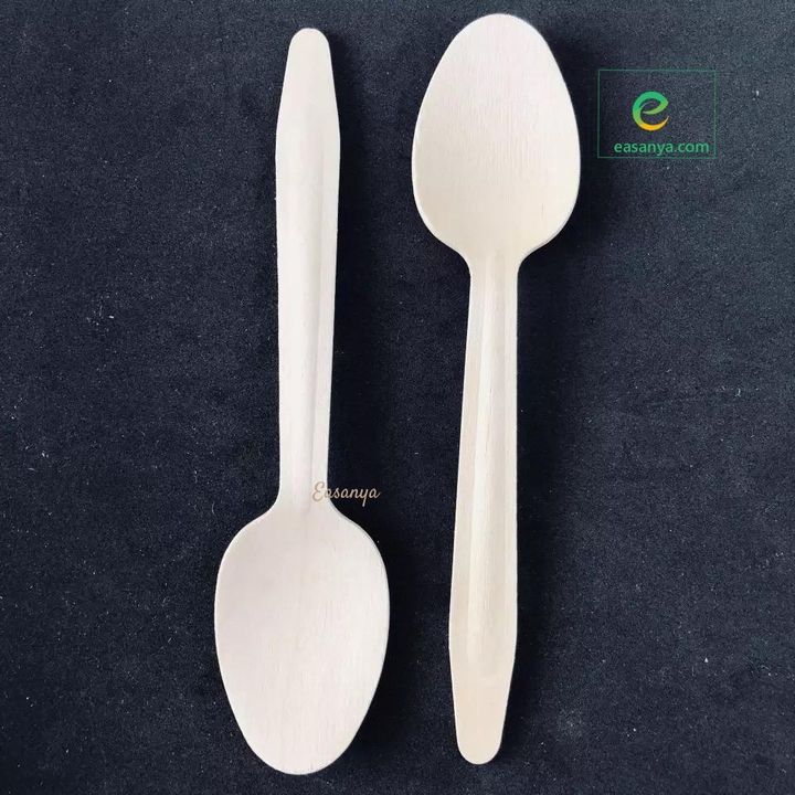 EEG6.5_Spoon