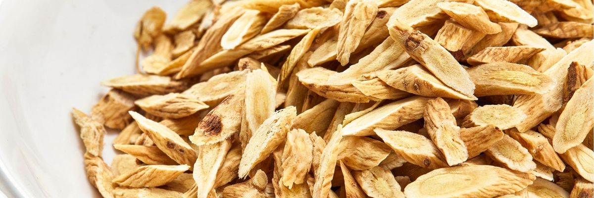 Benefits of Astragalus