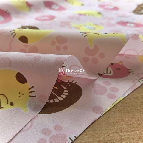 貓咪表情1