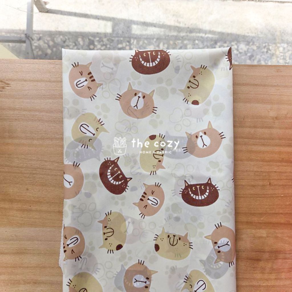 貓咪表情6