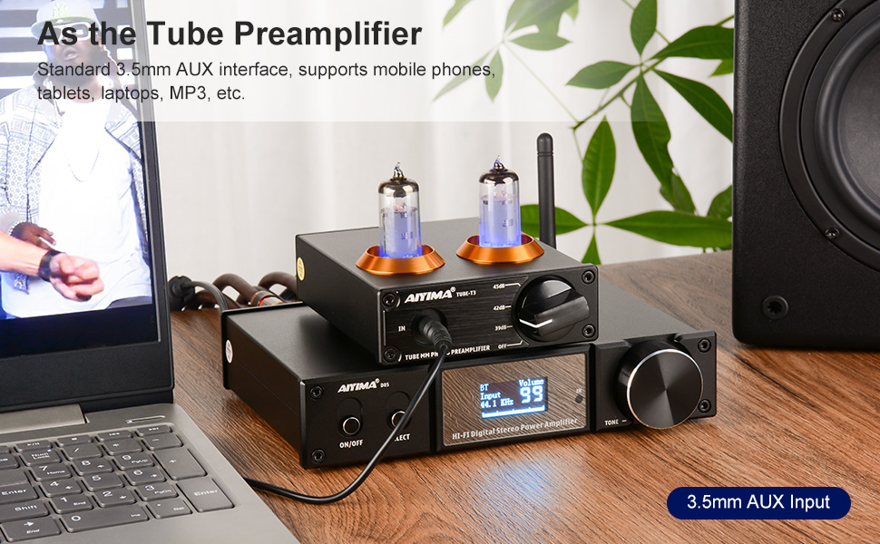 Aiyima Tube T3 MM Phono Preamplifier 13.jpg