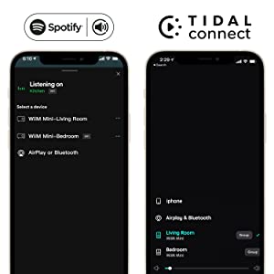 Spotify and TIDAL connect