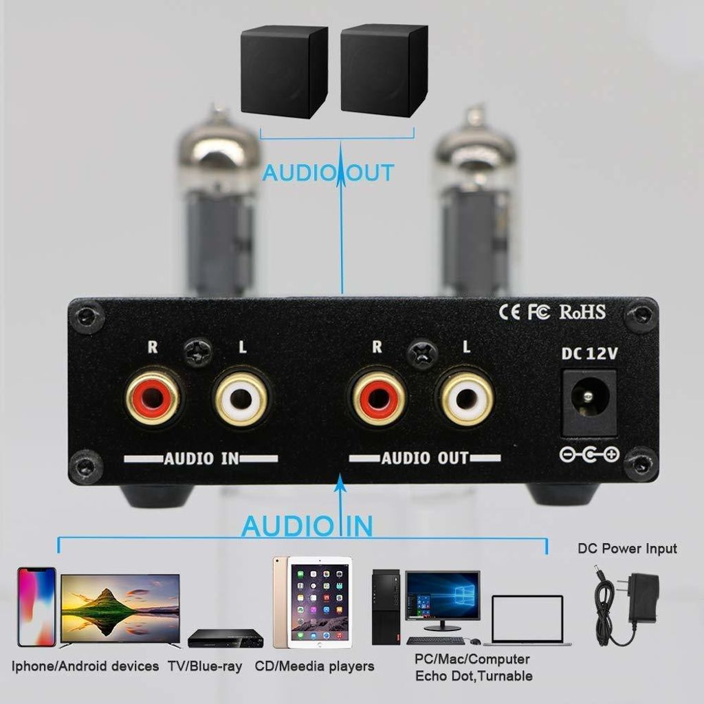 Fosi Audio P1 Pre-amp Inputs & Outputs Malaysia.jpg