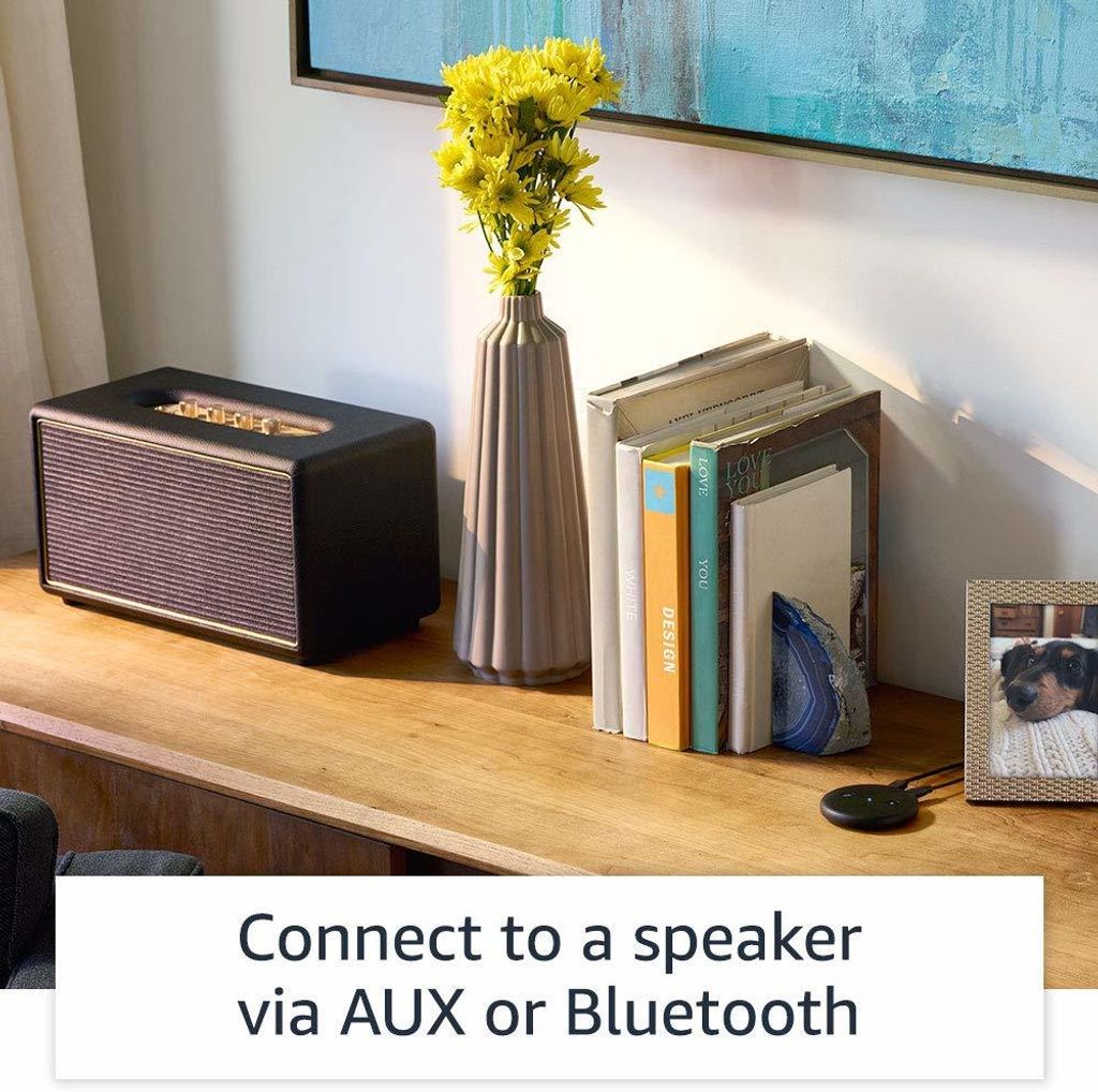 Turn Any Speakers into Alexa Smart Speaker in Malaysia.jpg