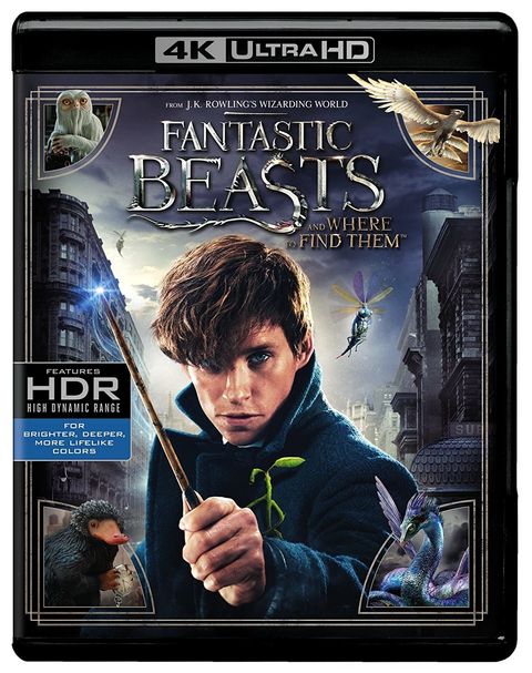 Fantastic Beasts and Where to Find Them 4K Bluray Disc Malaysia.jpg