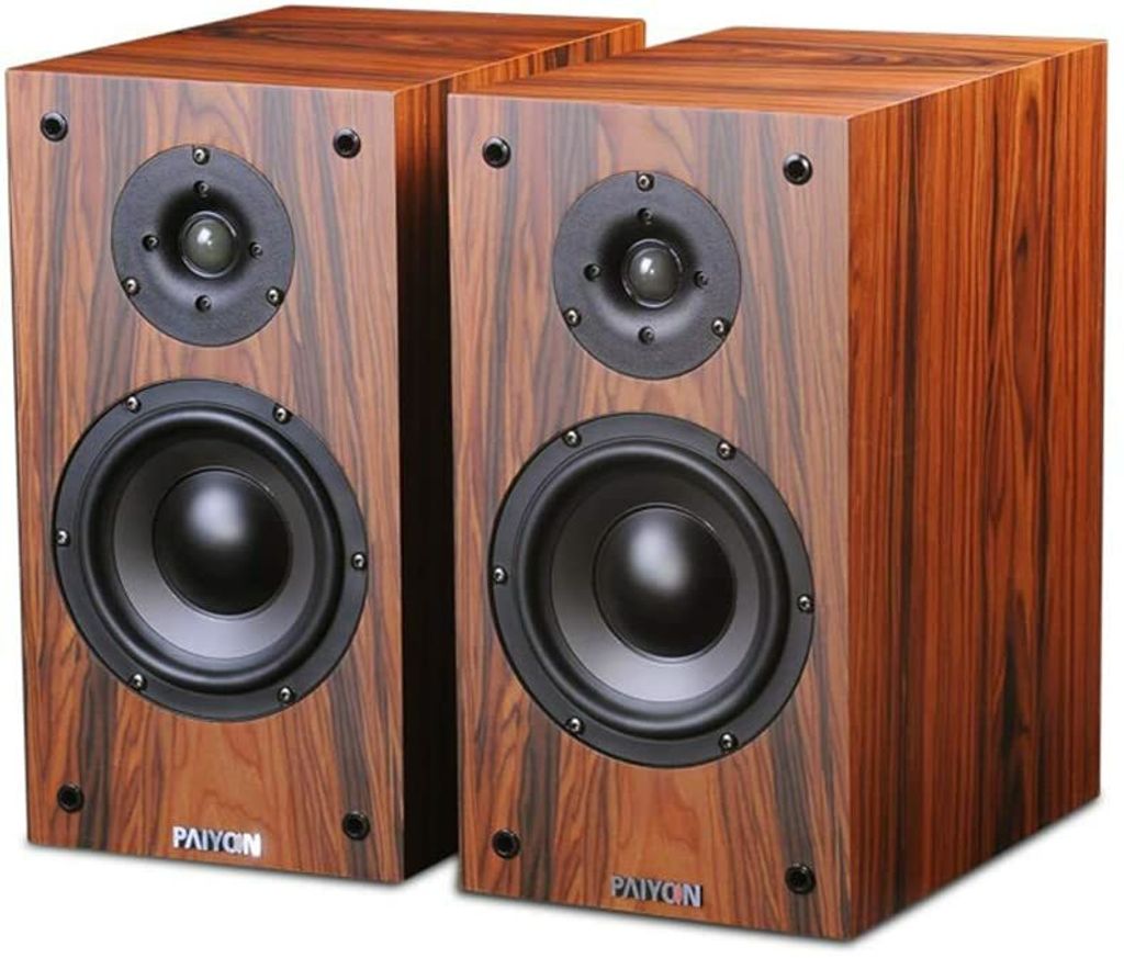 2021 Best Budget ChiFi Loudspeakers Paiyon P4-2.0 Malaysia.jpg