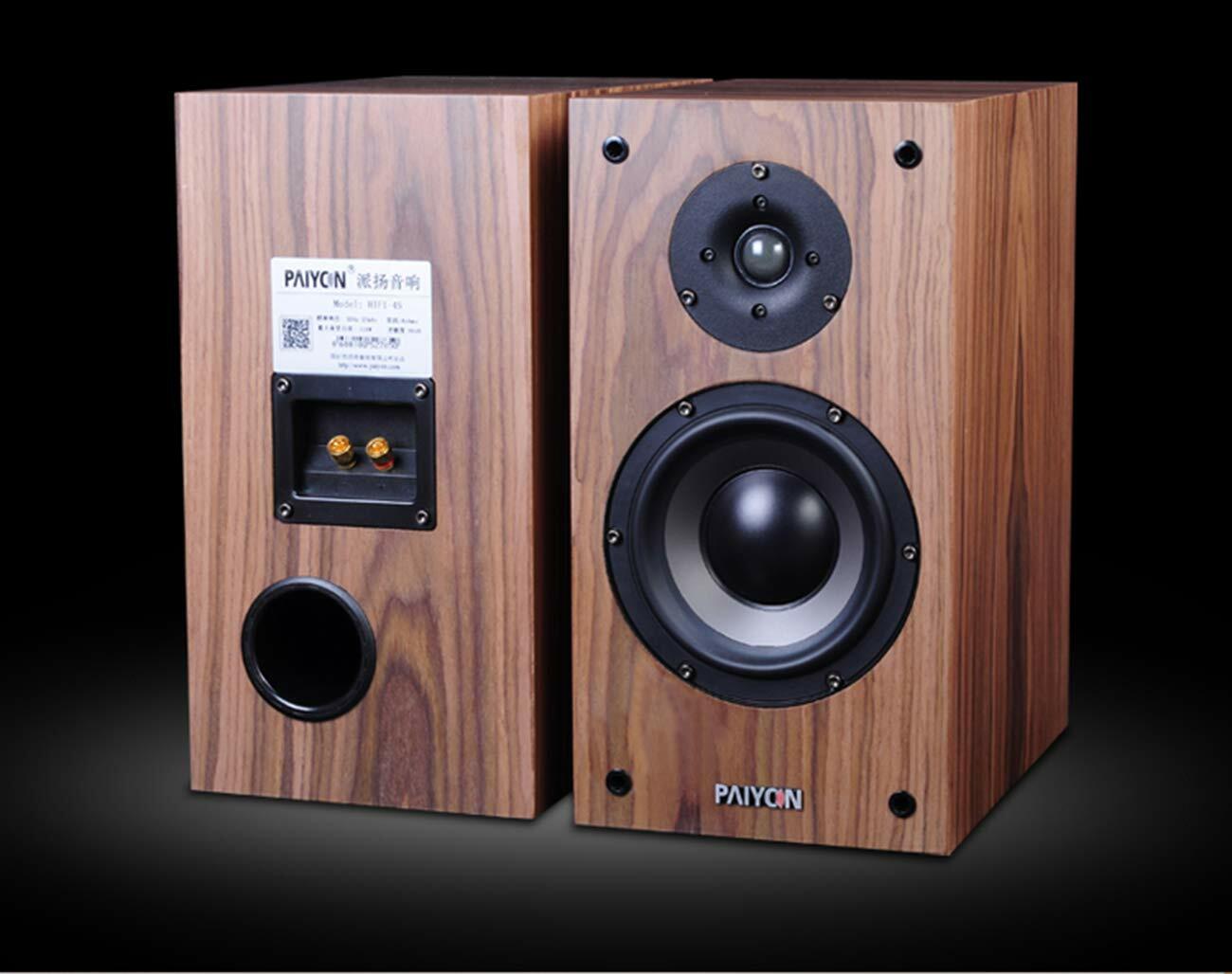 2021 Best Budget HiFi Speakers Paiyon P4 2.0 TechX Malaysia