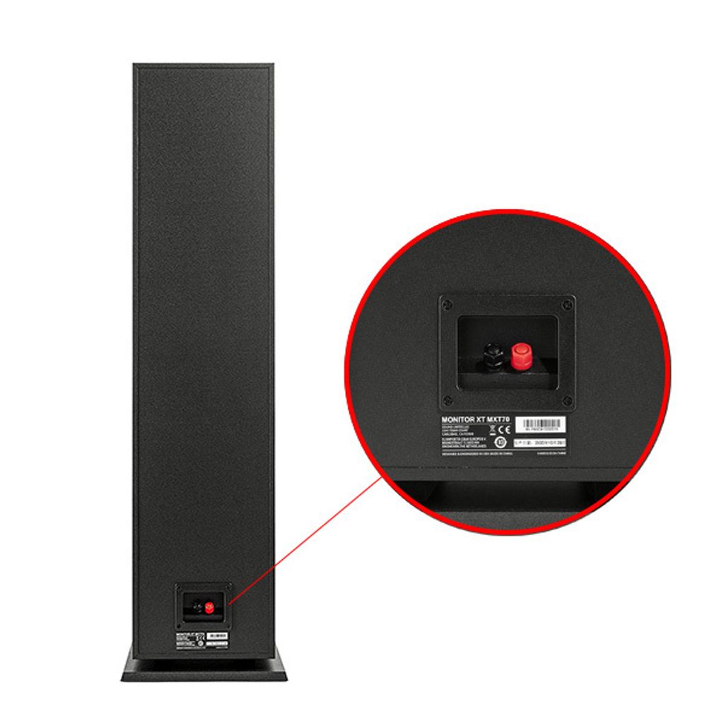 Polk Monitor XT 70 Passive speaker.jpg