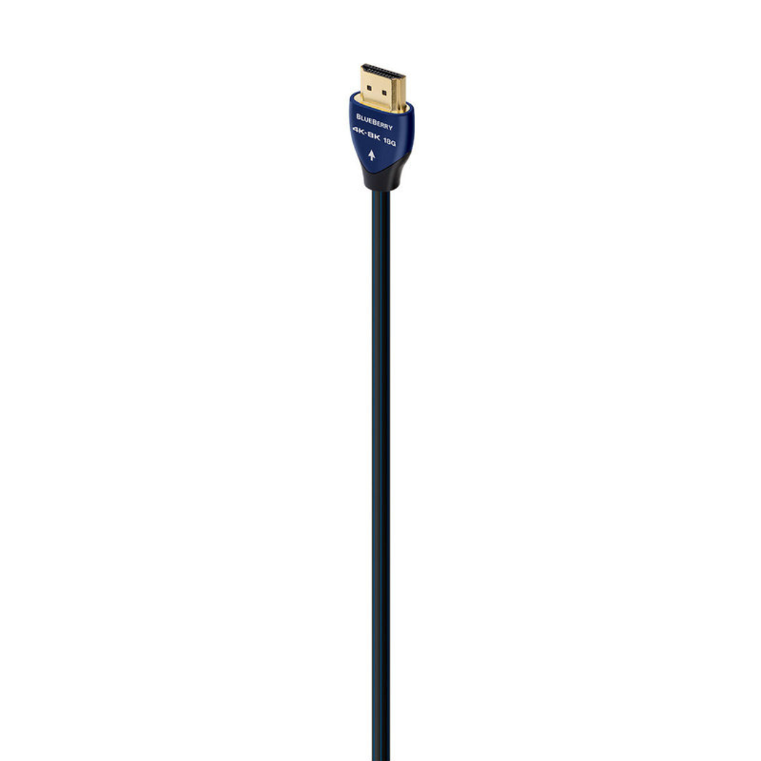 audioquest blueberry one