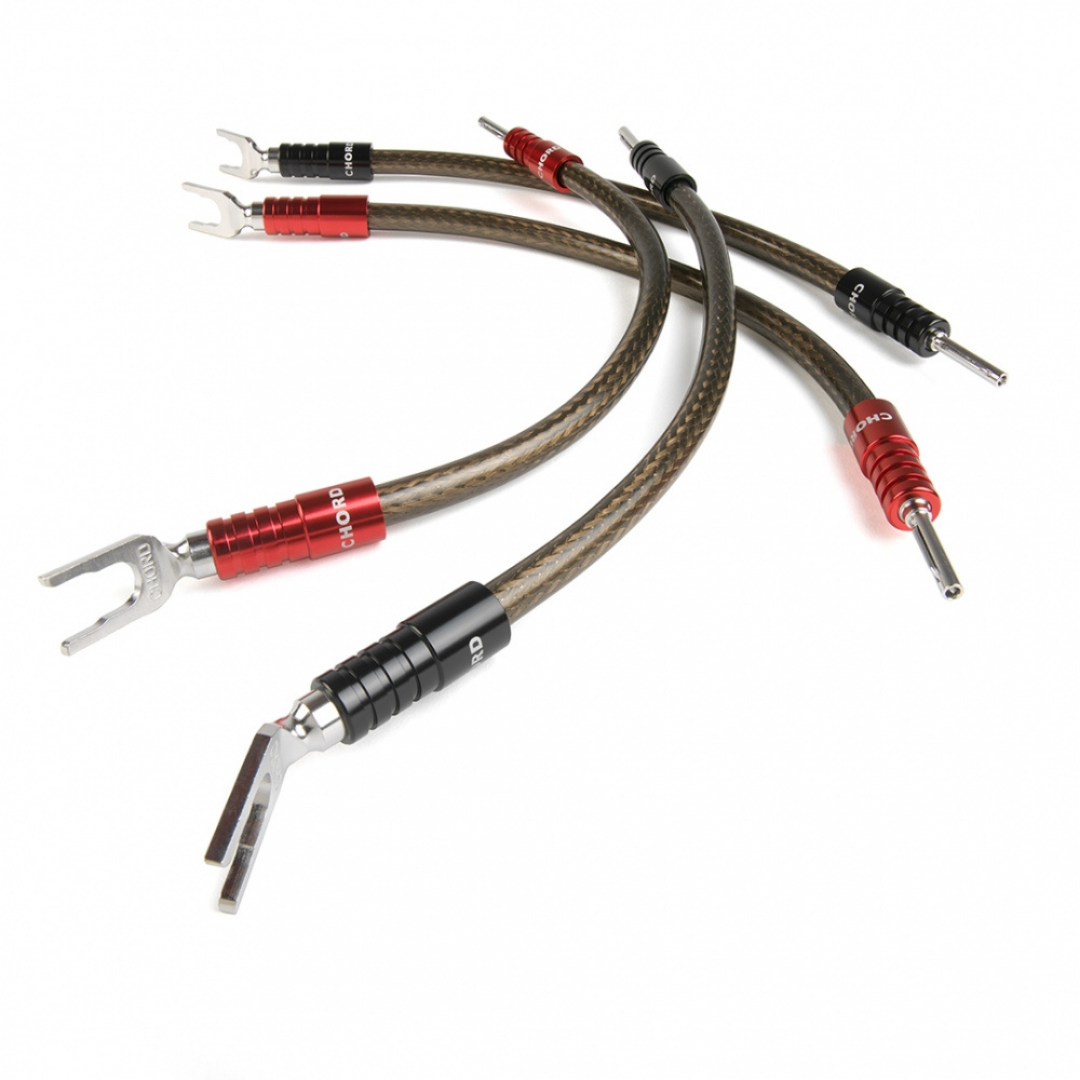 Chord Epic Speaker Links ChordOhmic Spade to Banana x 4