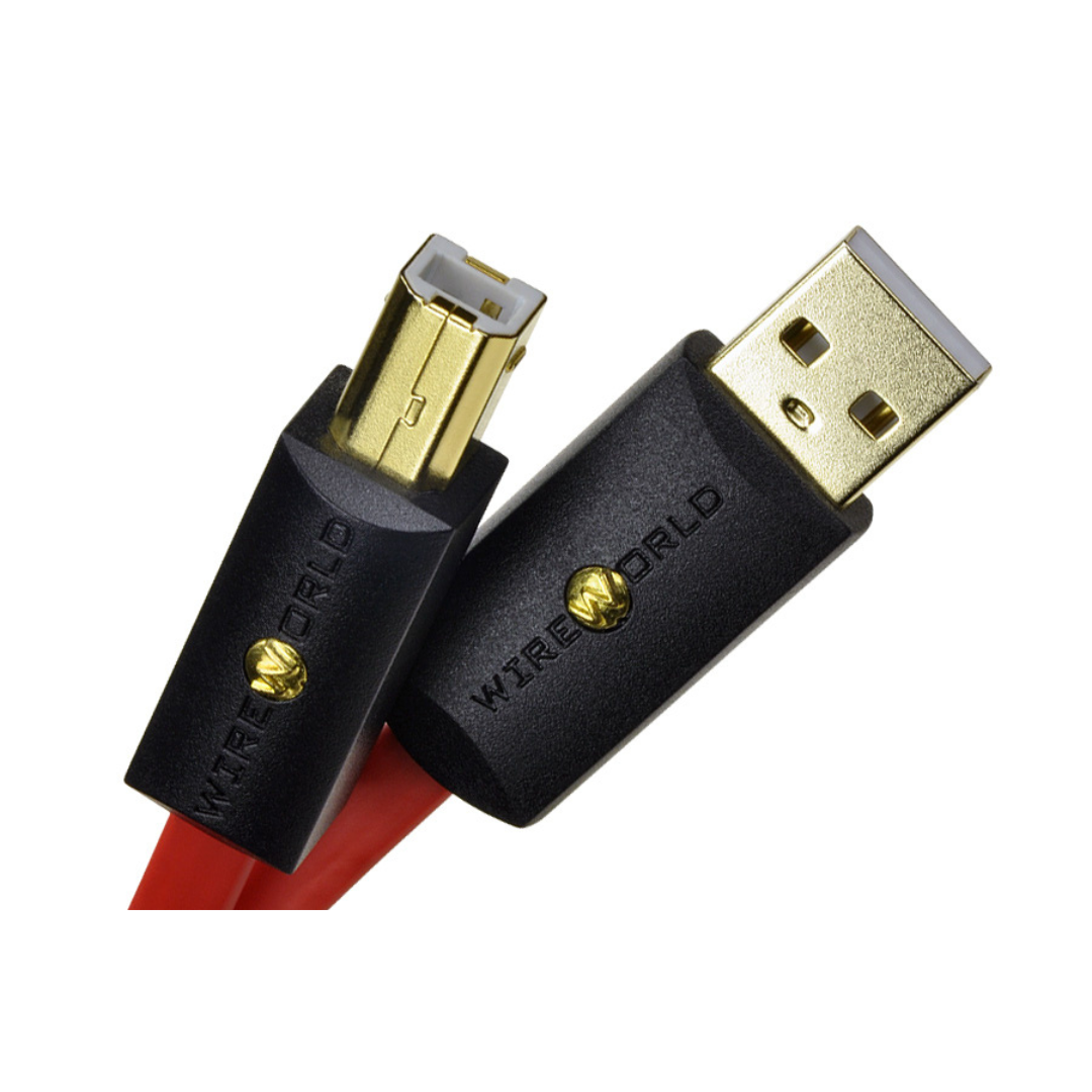 Wireworld Starlight 8 USB 2.0 A to B Audio Cable 1 Meter (2)