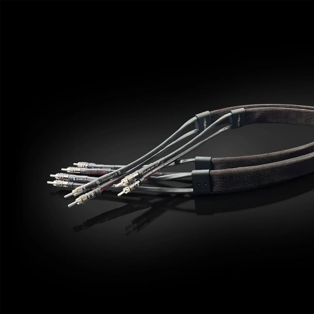 Statement Speaker Cable (3)