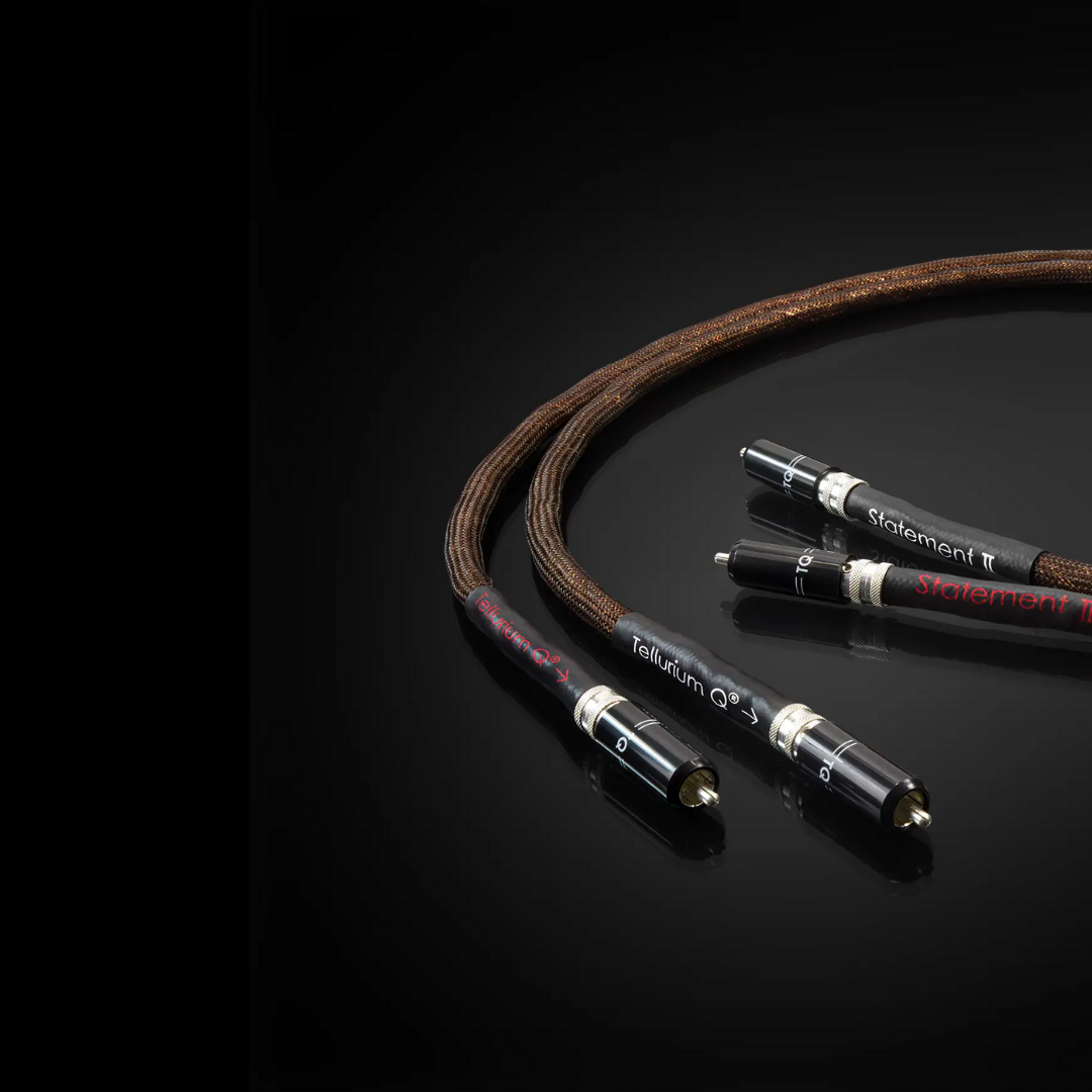 Statement RCA Cable (3)