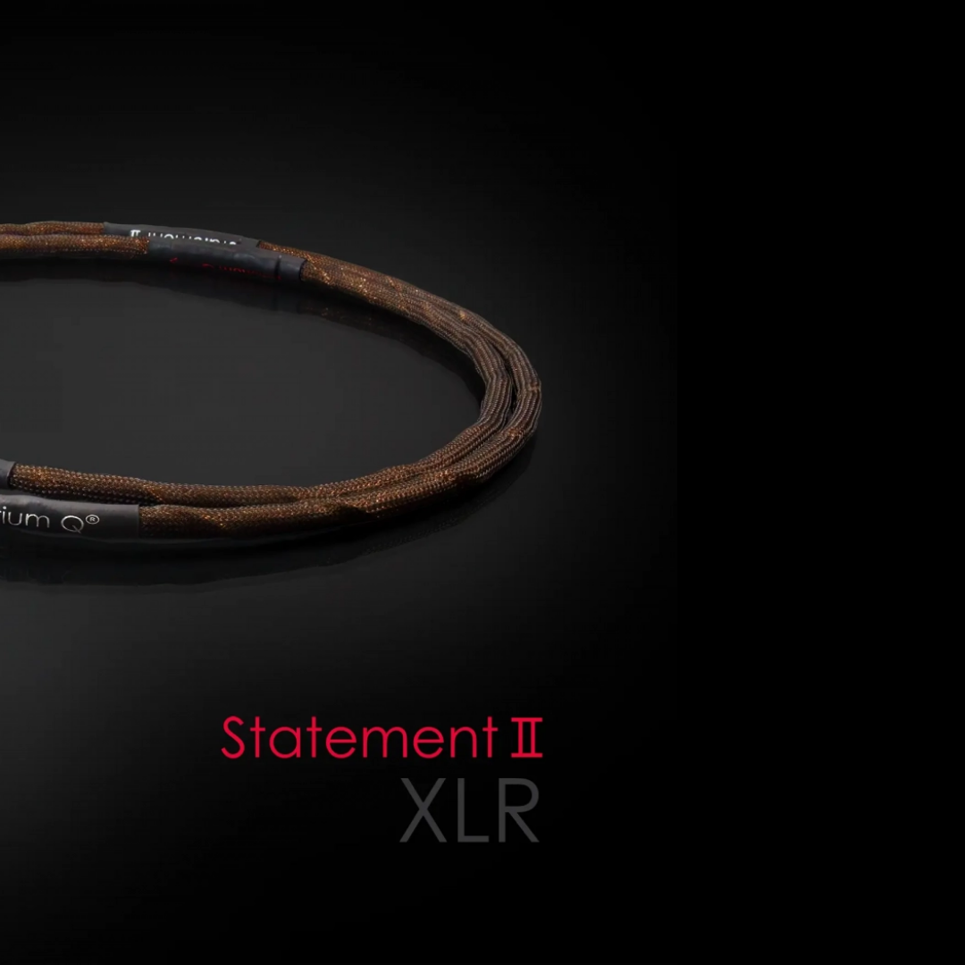 Statement II XLR Cable (4)