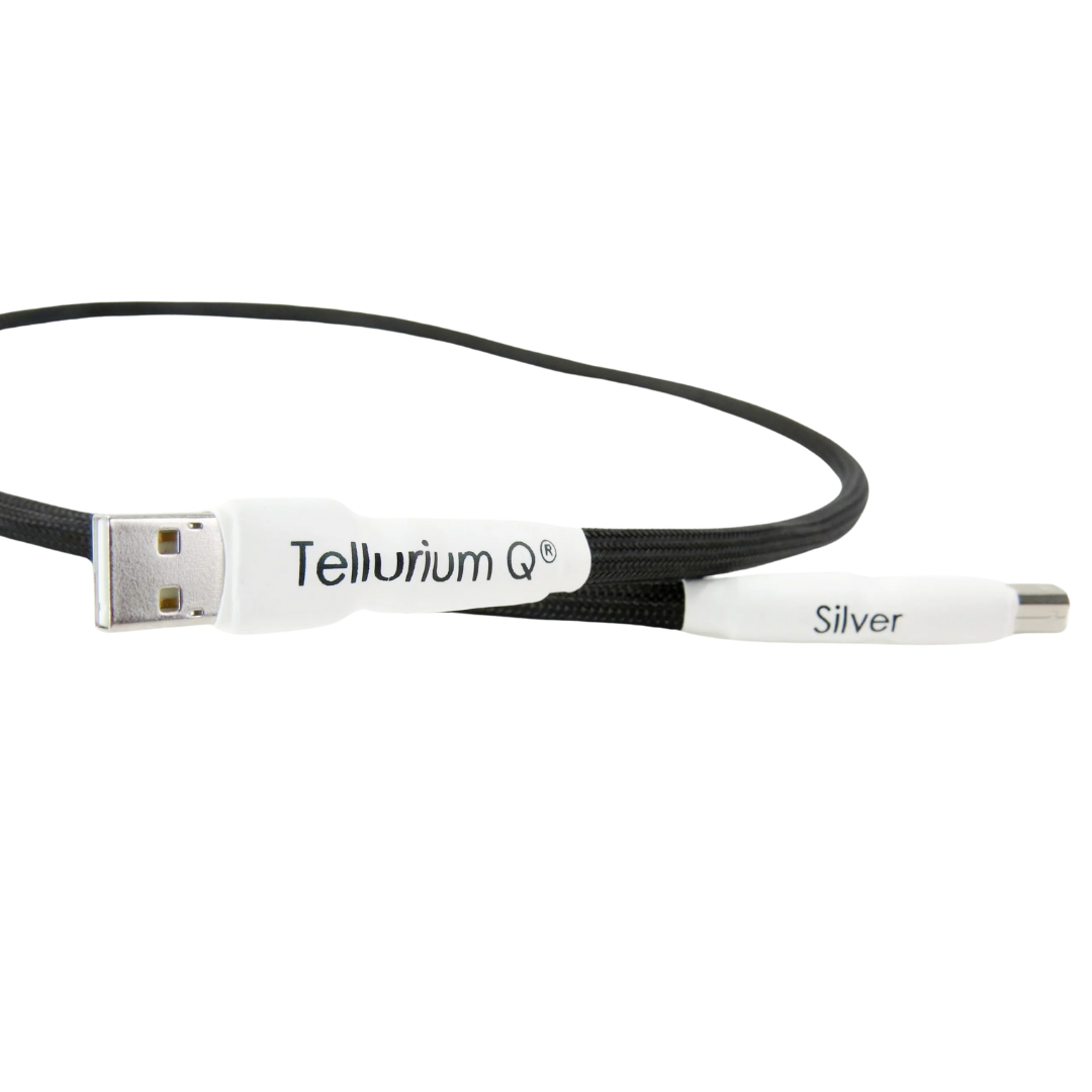 Silver USB Cable (5)
