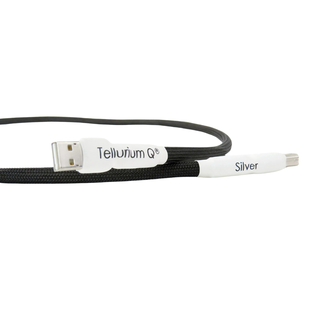 Silver USB Cable (3)