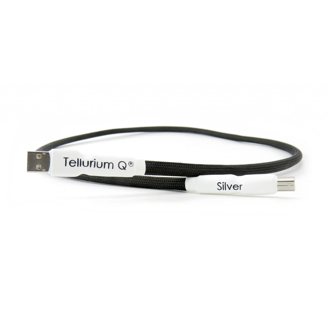 Silver USB Cable (6)