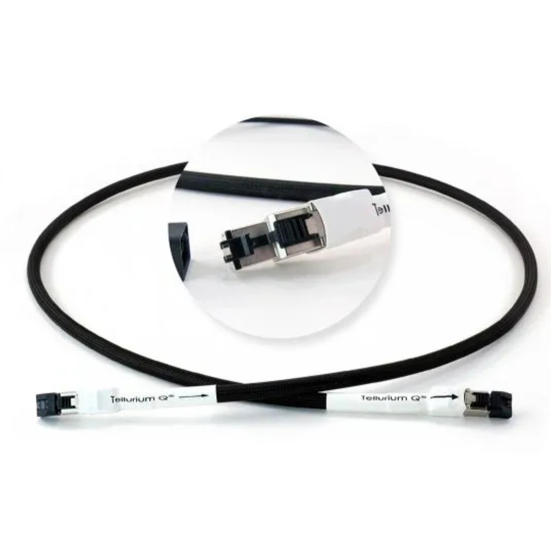 Black Diamond Ethernet Cable (2)