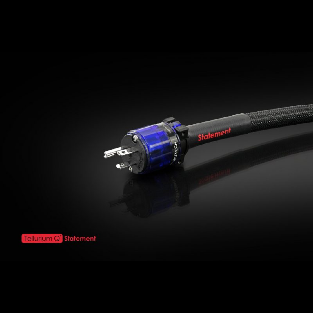 Statement Power Cable (2)