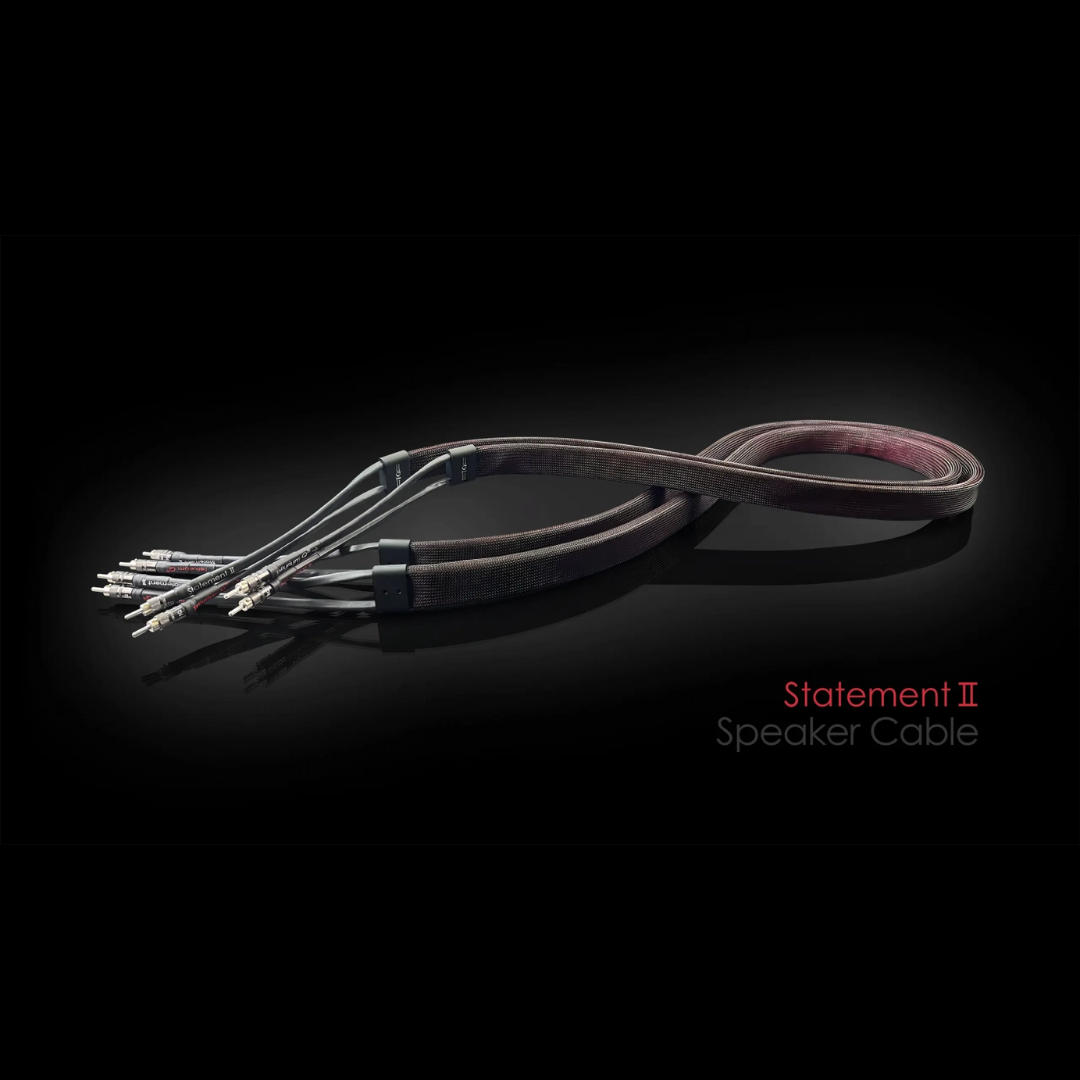 Statement Speaker Cable
