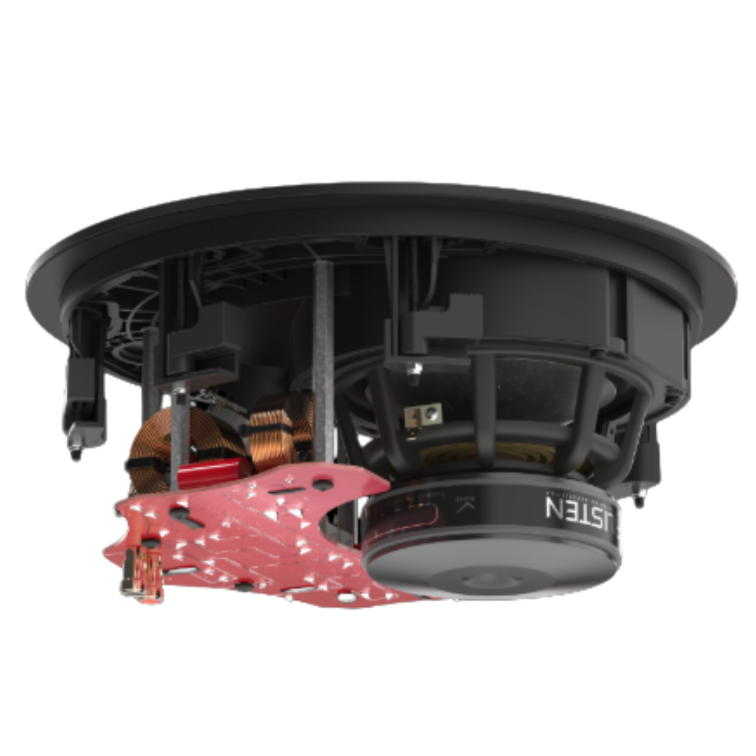 R2ic in ceiling (7)