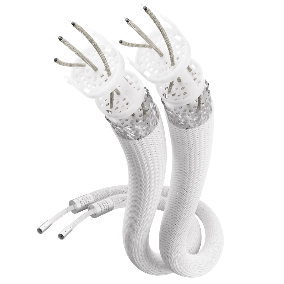 Reference Air-XLR Silver 4005