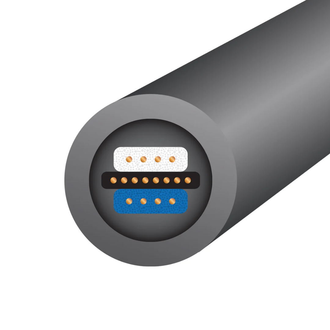 Equinox 10-RCA_XLR (3)