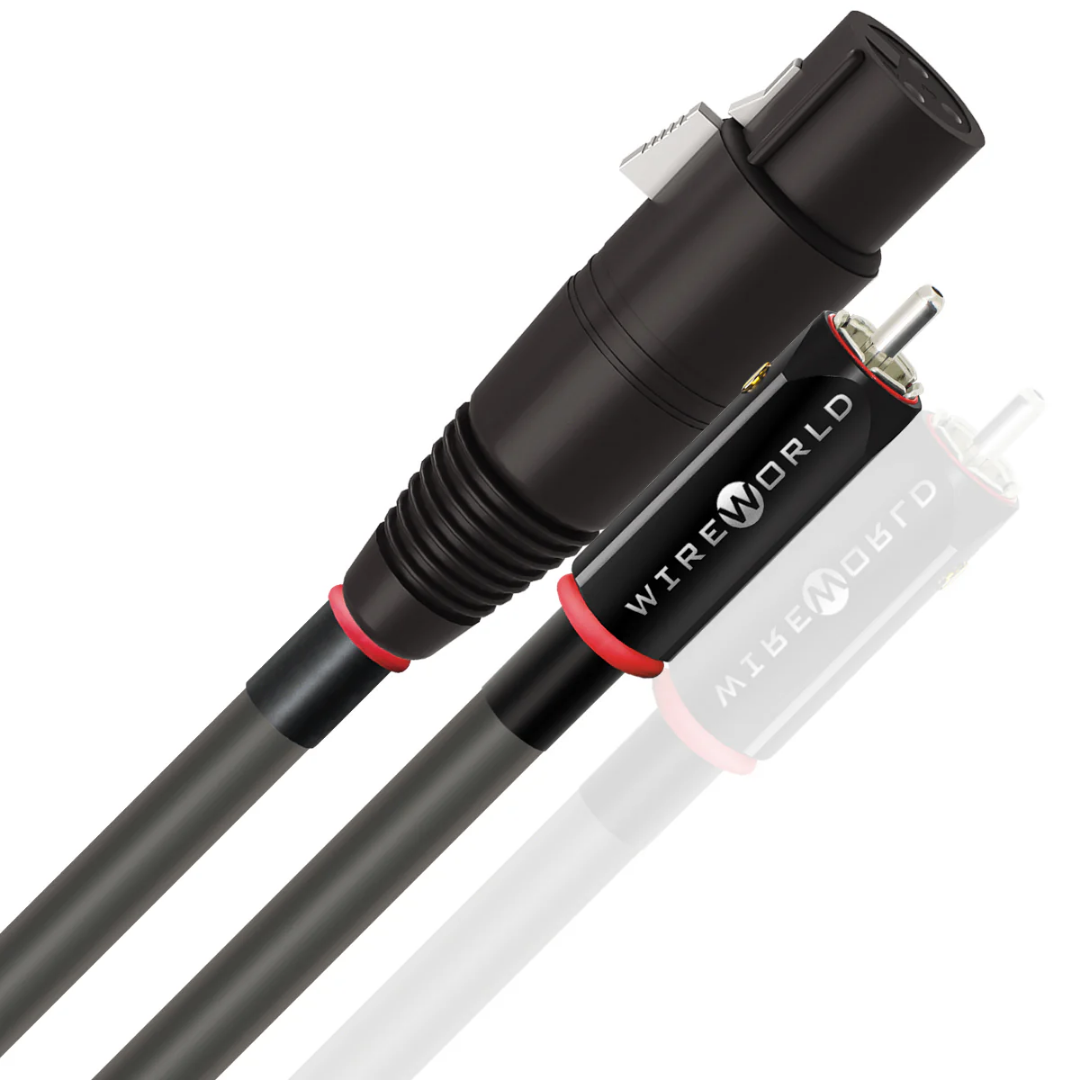 Equinox 10-RCA_XLR