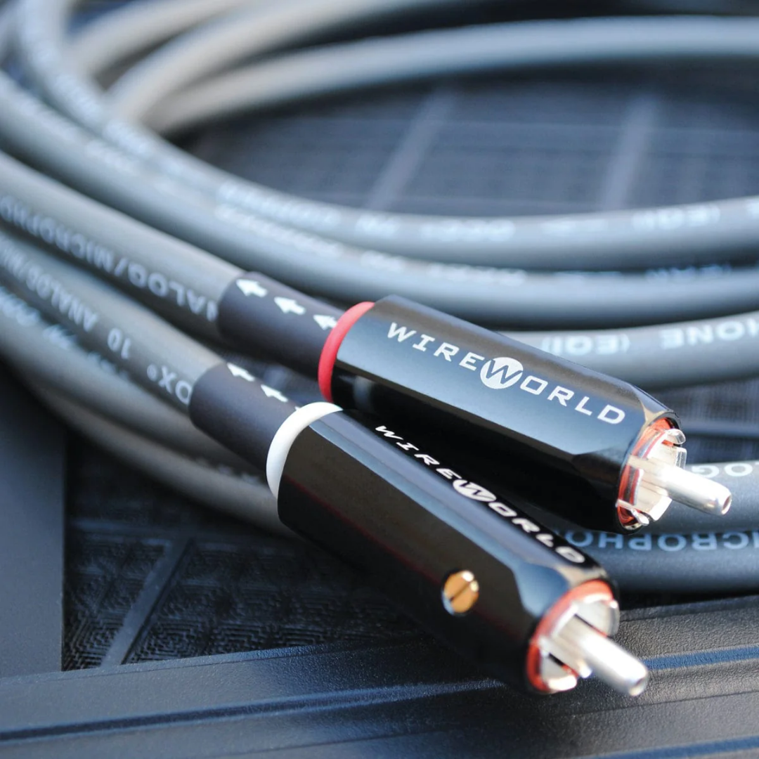 Equinox 10-RCA_XLR (4)