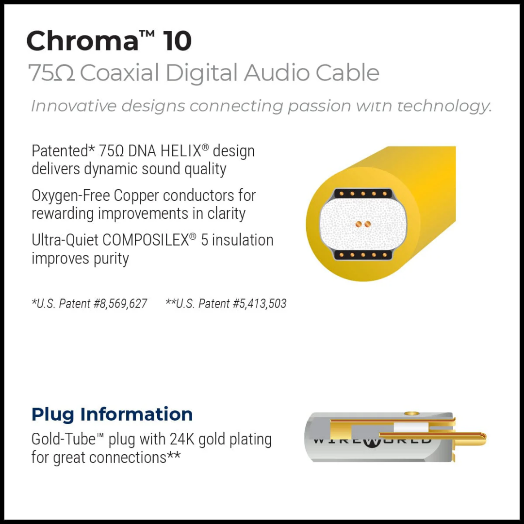 Chroma 10-DIgital Coaxial (5)