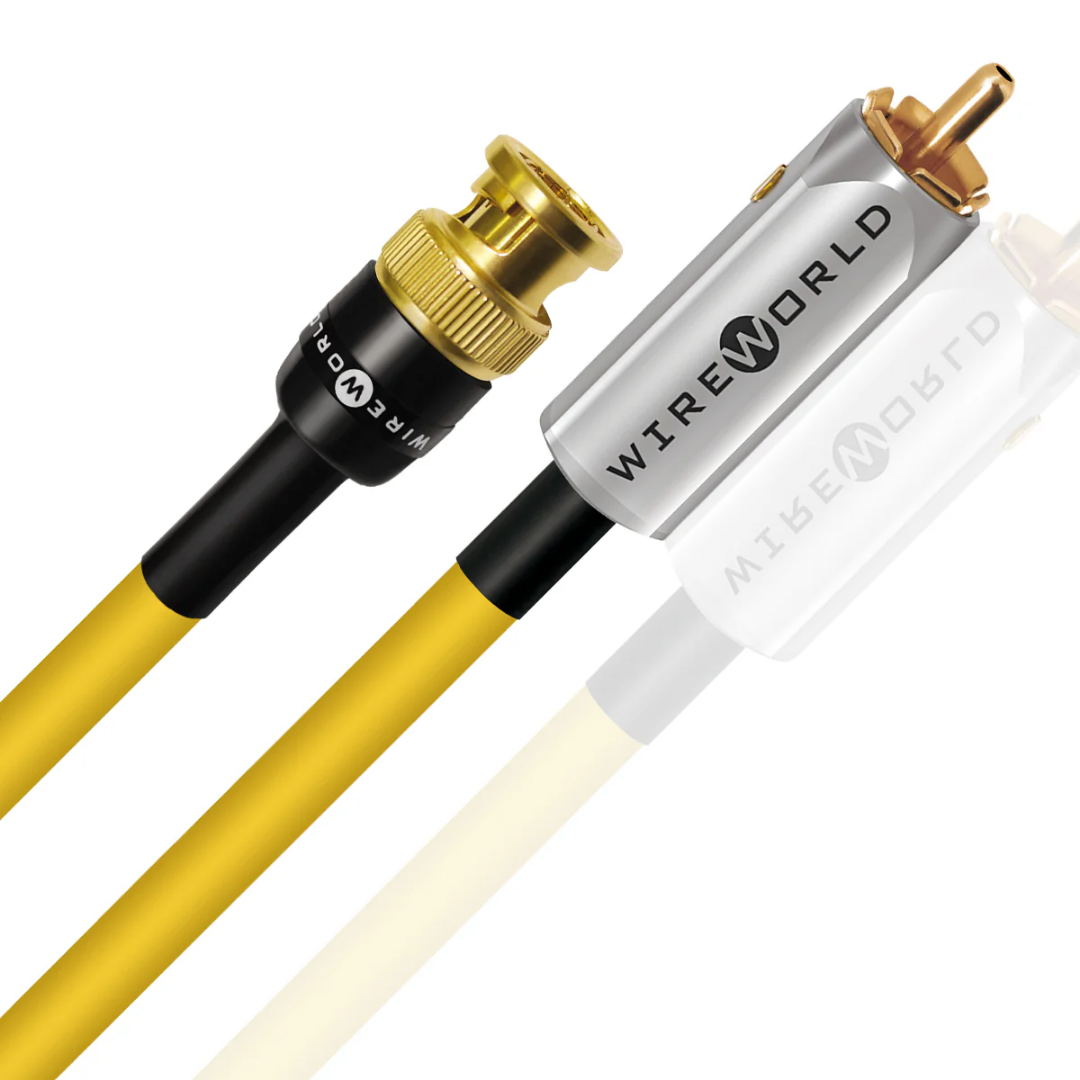 Chroma 10-DIgital Coaxial
